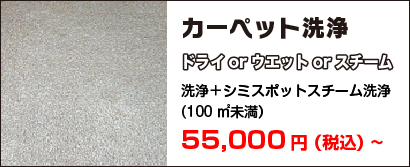 カーペット洗浄|ドライorウエットorスチーム|洗浄＋シミスポットスチーム洗浄(100㎡未満）|40,000円（税込）~ 