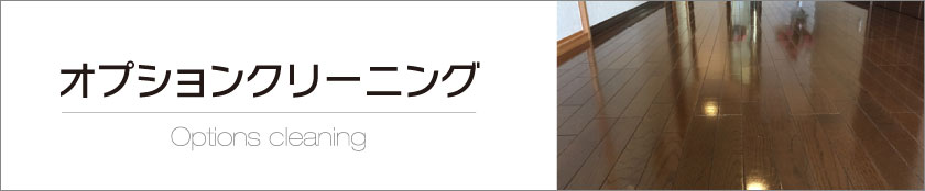 オプションクリーニング