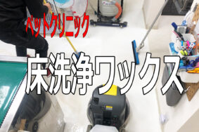 定期清掃　メンテナンスのメリットは、　1年中　美観　清潔感を保つことです　岐阜市　[アイビーペットクリニック様 ] 床洗浄ワックス有難うございました