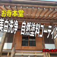 ただいま　お寺本堂の外部の木部白木洗い　美白洗浄　作業中です！