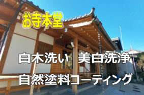 【威風堂々のお寺本堂】の白木洗い　自然塗料コーティング　木は生きています　60日間の軌跡