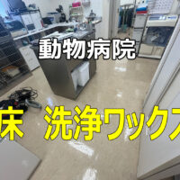 動物病院の床の洗浄ワックス——定期清掃のススメ　【小牧市　動物病院　床洗浄ワックス有難うございました。】