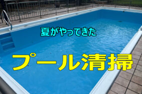 夏がやってきた　プール清掃