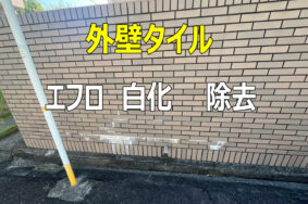「外壁タイルの白い汚れの正体は？エフロ（白華）の原因と除去・防止方法」