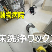 【施工事例】動物病院の床洗浄ワックス｜消えないニオイや黒ずみをプロの手でリセット