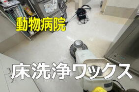 【施工事例】動物病院の床洗浄ワックス｜消えないニオイや黒ずみをプロの手でリセット