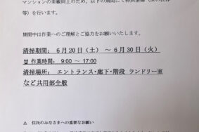 共用部がここまでキレイに！薬品洗浄で徹底リフレッシュ